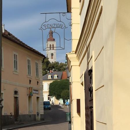 Penzion U Brany Кутна Гора Екстер'єр фото